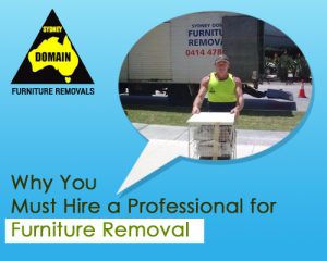 Professional for Furniture Removal